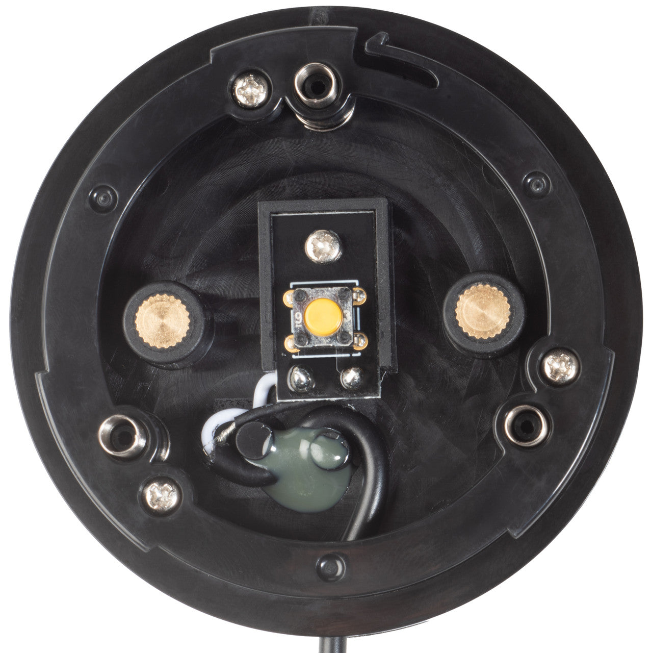 Ablenet Buddy Button