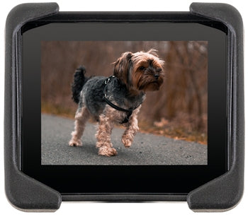 Quantum Backup Camera